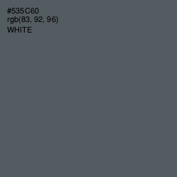 #535C60 - Scarpa Flow Color Image